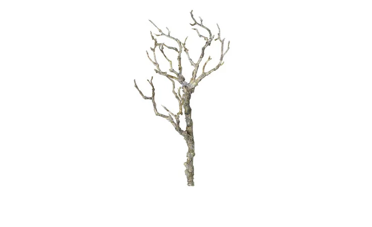 Zweig 40cm