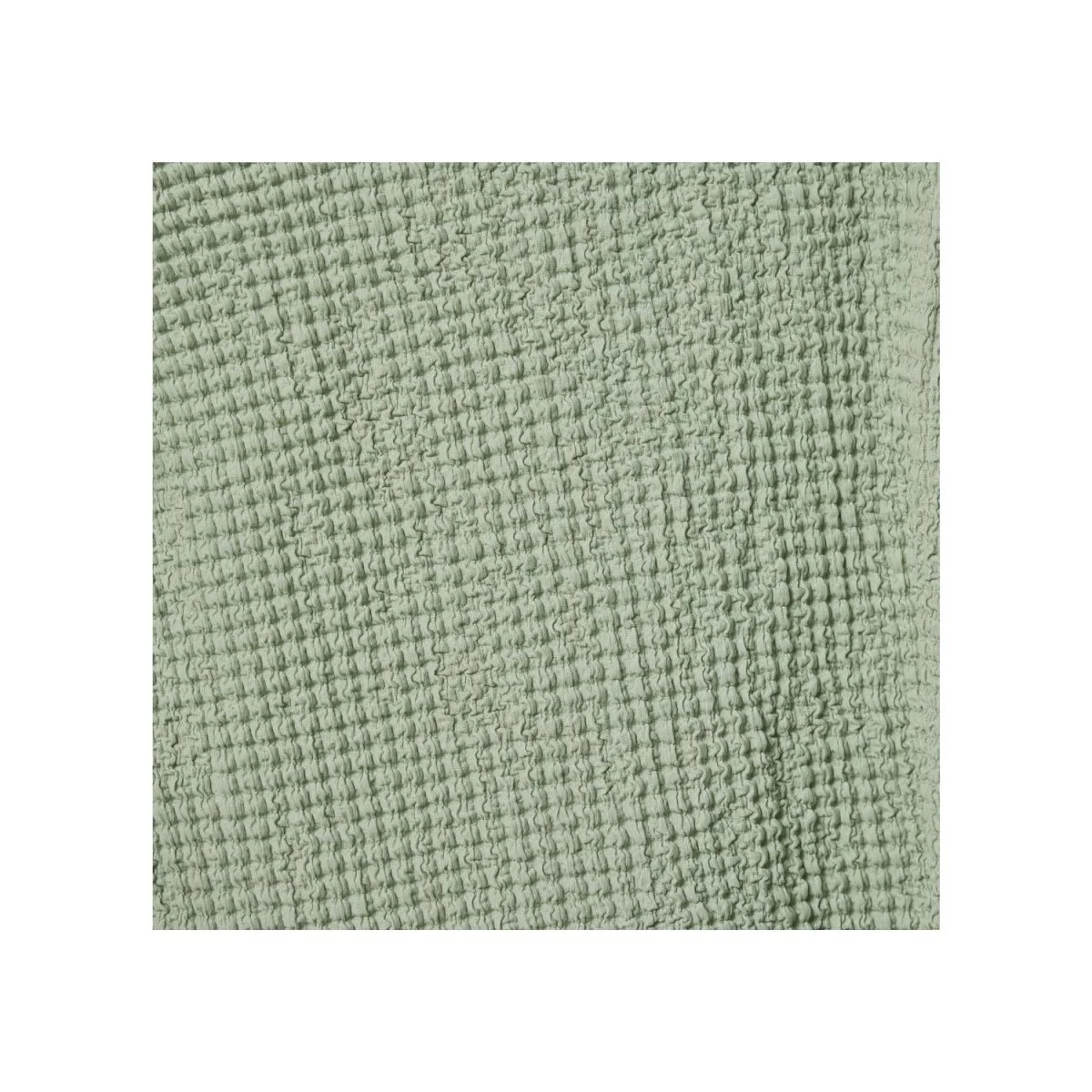 esmara Damen Langarmshirt, mit modischem Jacquard-Jersey (Grün, XS (32/34)) - B-Ware neuwertig